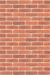 Плита ФАСПАН Кирпичный № 1005 Вертикаль (1200х800х8 мм). фото №1091618
